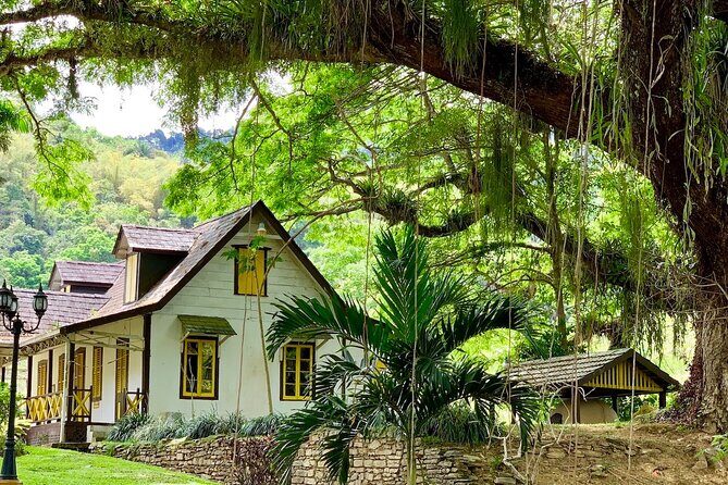 Half-day 3-Course Cocoa Lunch Tour in Trinidad - Key Points