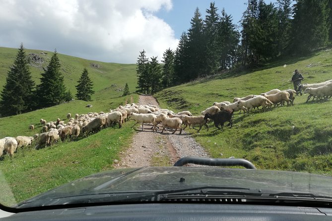 Half-Day 4x4 Tour in the Eastern Carpathians - Meeting and Ending Locations