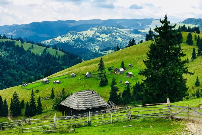 Half-Day 4x4 Tour in the Eastern Carpathians - Traveler Reviews and Feedback
