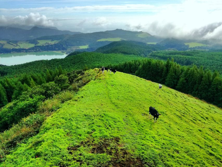Half-Day 4X4 Tour Sete Cidades. off the Beaten Track. - Important Considerations