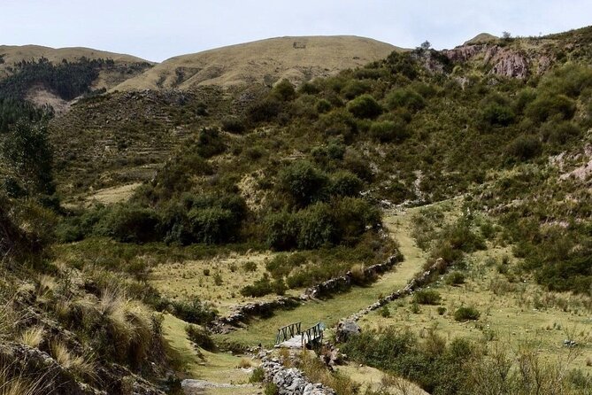Half Day Acclimatization Hike With Llamas and Alpacas in Cusco - Customer Reviews and Recommendations