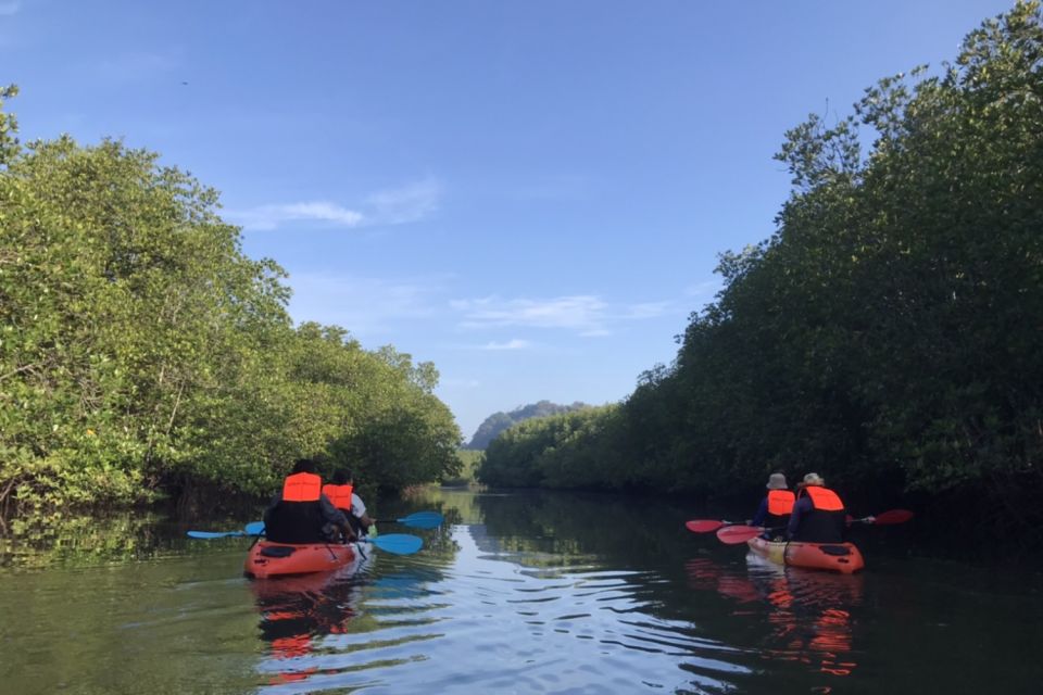 Half Day Adventure Kayaking at Mangrove Forest - Itinerary and Schedule