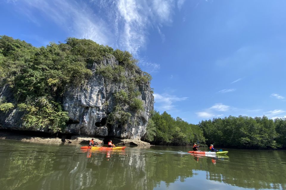 Half Day Adventure Kayaking at Mangrove Forest - Inclusions and Amenities