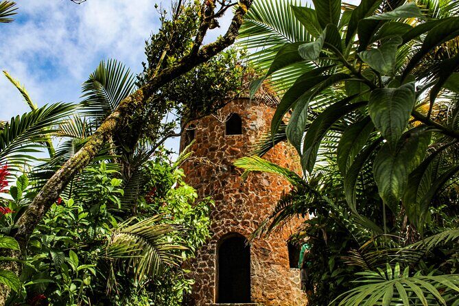 Half Day Adventure Private Tour in El Yunque Rainforest - Authentic Experiences and Honest Insights