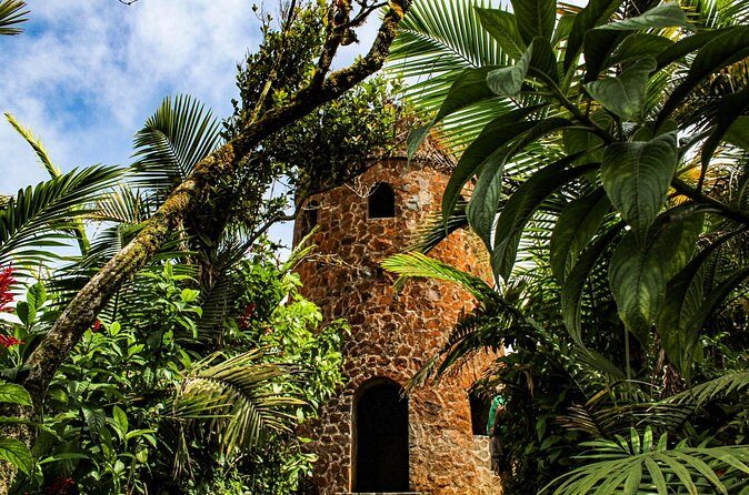 Half Day Adventure Private Tour in El Yunque Rainforest - Who Should Consider This Tour?