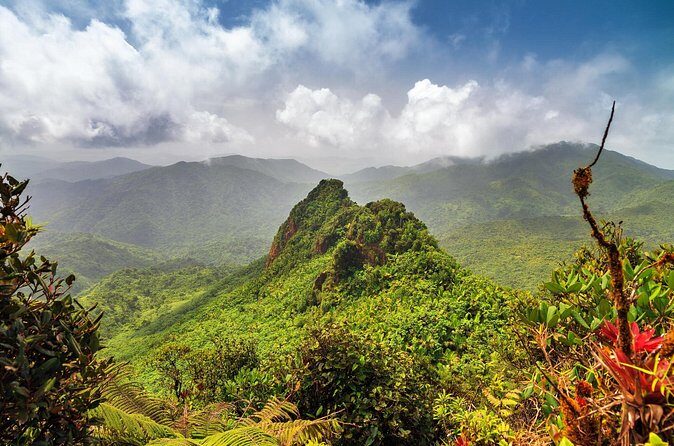 Half Day Adventure Private Tour in El Yunque Rainforest - FAQ