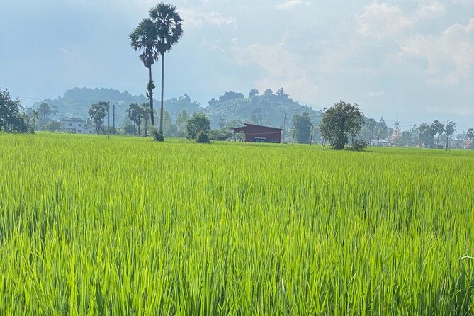 Half-Day Adventure to the Pepper Farm by Scooter - Accessibility and Restrictions