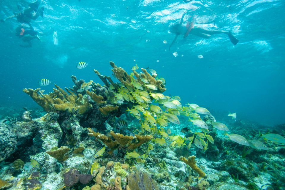 Half-Day All-Inclusive Private Catamaran Isla Mujeres - Snorkeling Adventure