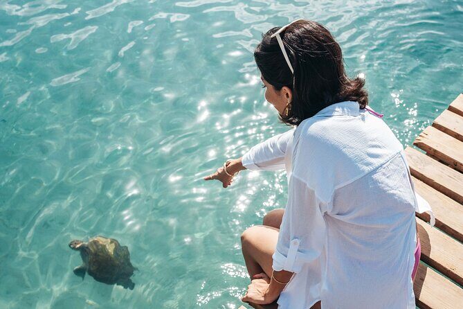 Half Day All West Beach Hopping - FAQs