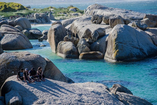 Half Day Am or Pm Boulders Beach & Penguins With Visit to Cape Point Great Tour - Why This Tour Is Great