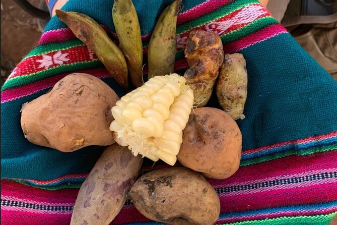 Half Day Andean Llama Trek in the Sacred Valley - Overview and Details