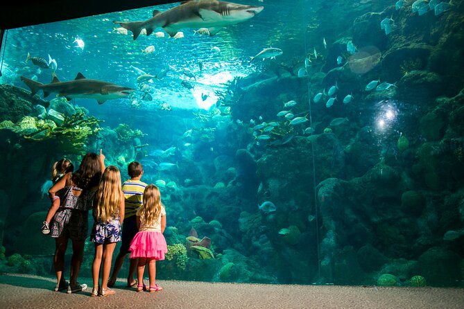 Half Day Antalya Aquarium Tour And Wax Museum - Inclusions and Exclusions