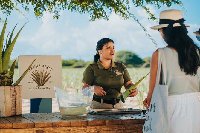 Half-Day Aruba Island Tour from Oranjestad - Key Points  