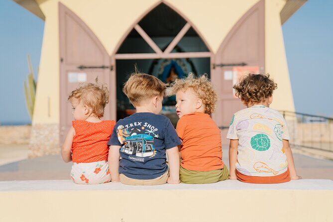 Half-Day Aruba Island Tour from Oranjestad - The Sum Up: Who Will Love This Tour?