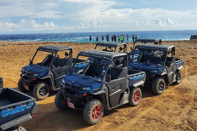 Half-Day Aruba UTV Adventure Tour - Key Points