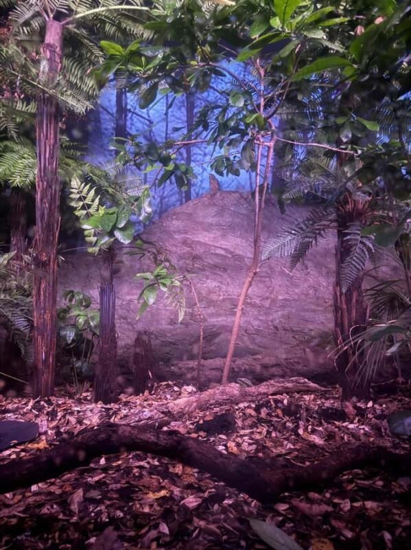 Half-Day Auckland City Tour  The City of Sails Uncovered - Practical Details and Considerations