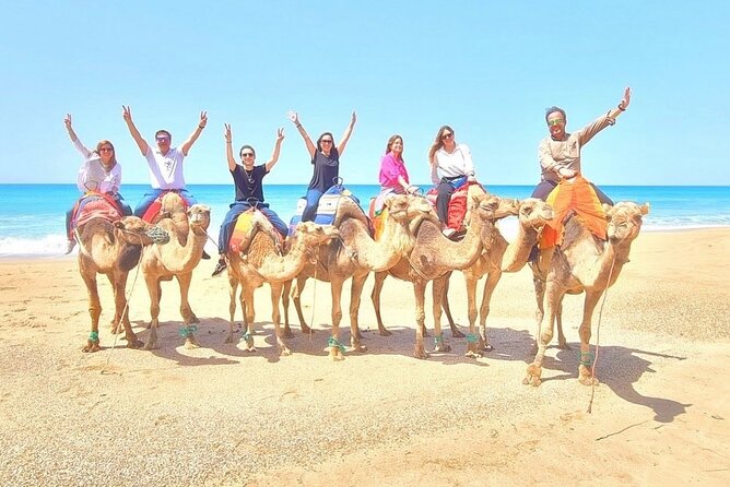 Half Day Authentic Private Tangier Tour & Camel Ride on the Beach - Customer Feedback and Reviews