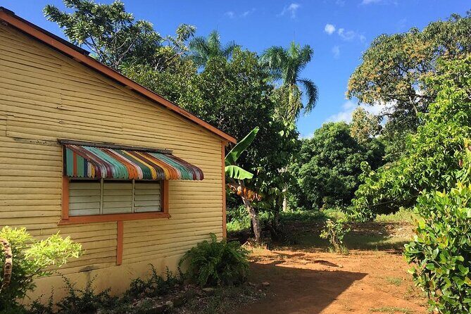 Half-Day Authentic Safari and Traditional Combo - The Sum Up