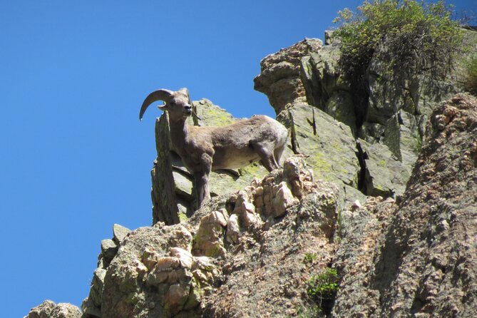 Half Day Beg/Inter Rafting Near Ft Collins - Estes Park - Boulder - Expert Guidance and Instruction