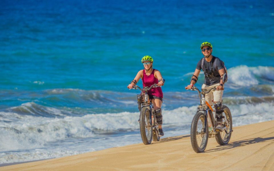 Half-Day Bicycle Tour by Baja California Desert - Flora and Fauna