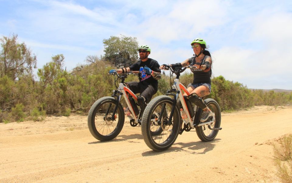 Half-Day Bicycle Tour by Baja California Desert - Transportation and Accessibility