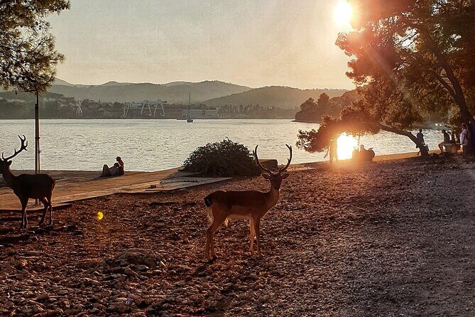 Half-Day Boat Tour Korcula Archipelago - The Value of This Experience