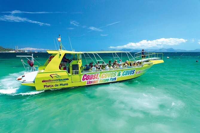 Half Day Boat Trip in the Bay of Alcudia - Customer Feedback and Recommendations