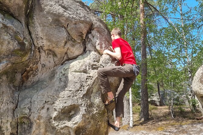 Half-Day Bouldering in Fontainebleau - Explore the Fontainebleau Forest