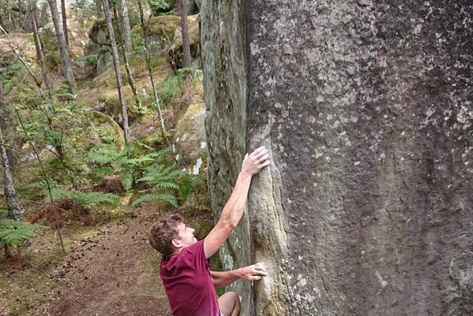 Half-Day Bouldering in Fontainebleau - Bouldering for All Skill Levels
