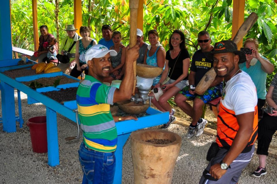 HALF DAY BUGGIE TOUR - BLUE LAGOON MACAO BEACH CACAO PLATEAU - Tour Highlights
