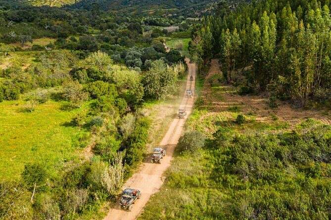 Half Day Buggy Driving and Tour in Algarve - The Sum Up: Who Should Consider This Tour?