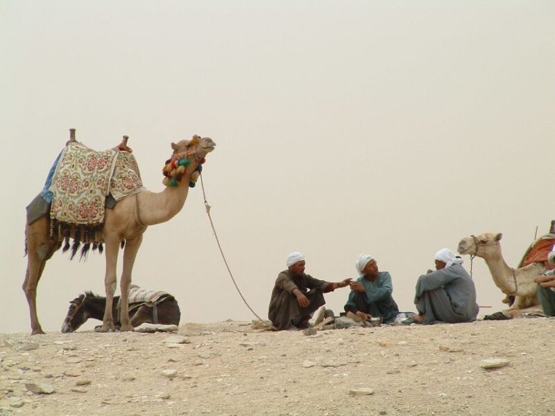 Half-Day Cairo Sightseeing Tour to Pyramids of Giza & Sphinx - Experience Highlights