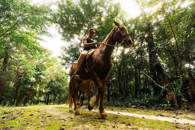 Half-day Cancun: Horseback riding, ATV, zipline & cenote - Introduction