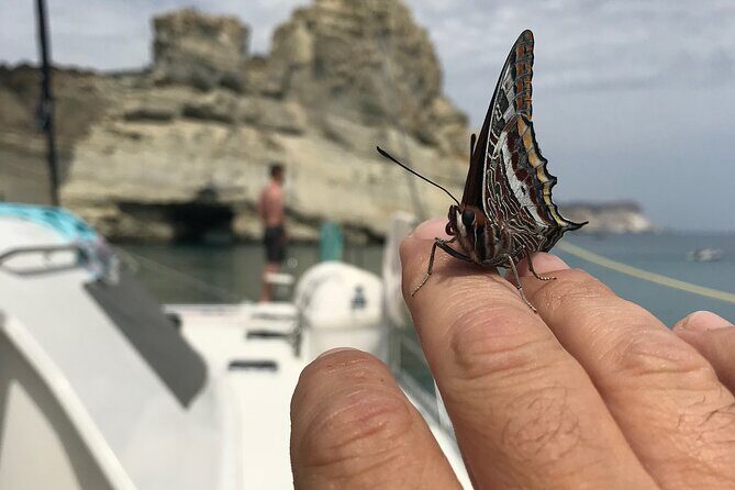 Half day Catamaran Morning Cruise in Kleftiko - Key Points