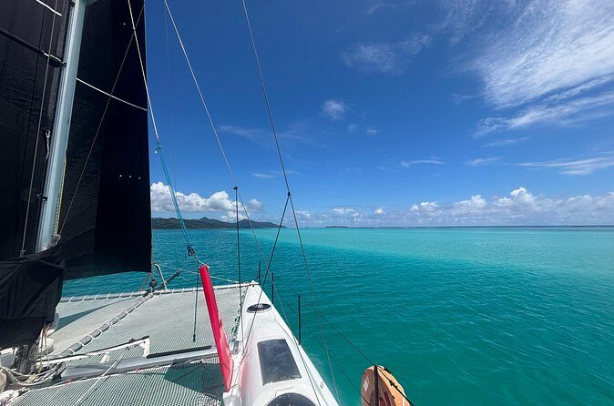 Half day catamaran sailing in the Sailinity Lagoon - The Sum Up: Why Choose This Tour?
