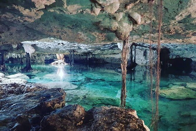 Half day Cave Cenotes Expedition - An In-Depth Look at the Cave Cenotes Tour