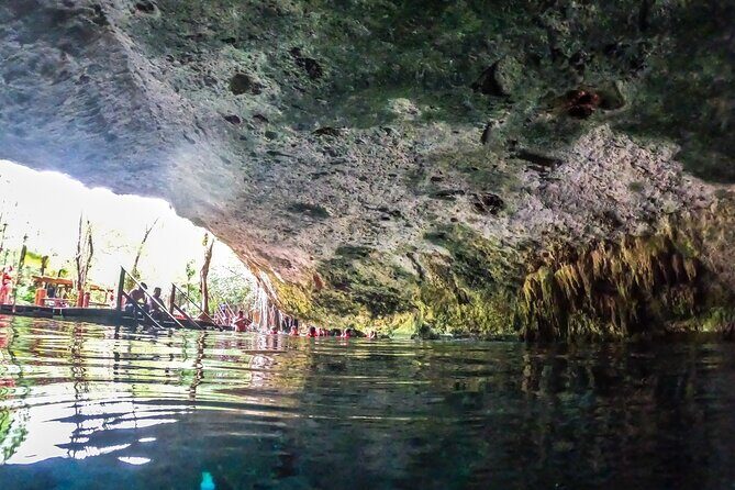 Half Day Cenote Cave and Swimming with Turtles Tour in Akumal - Who Should Consider This Tour?