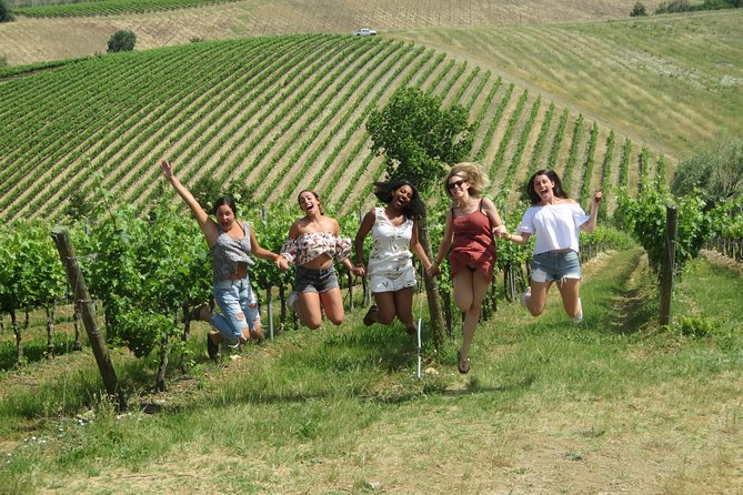 Half-Day Chianti Wine Tour From Florence - Small Group - Winery Visits