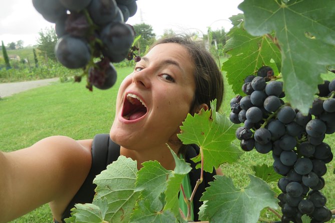 Half-Day Chianti Wine Tour From Florence - Small Group - Transportation and Guides