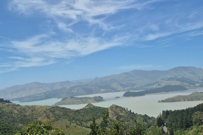 Half Day Christchurch Scenic Tour with Local Guide - Who Will Love This Tour?