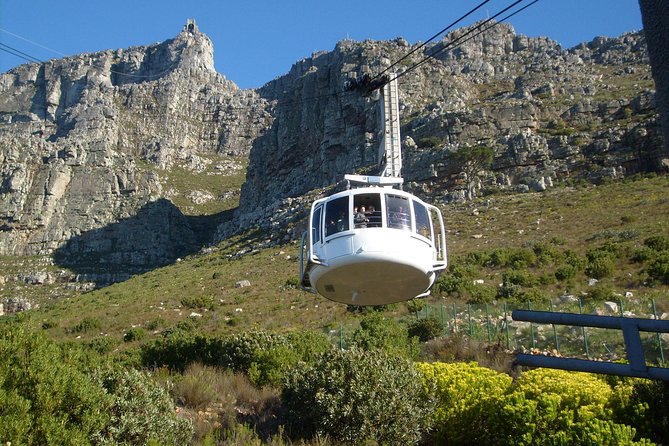 Half Day City & Table Mountain Tour - Key Highlights