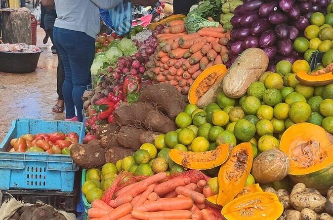 Half-day City tour cultural from punta cana for small group - Who Will Love This Tour