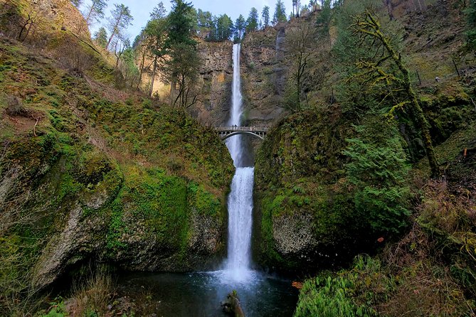 Half Day Columbia River Gorge Waterfalls Tour - Reviews and Testimonials
