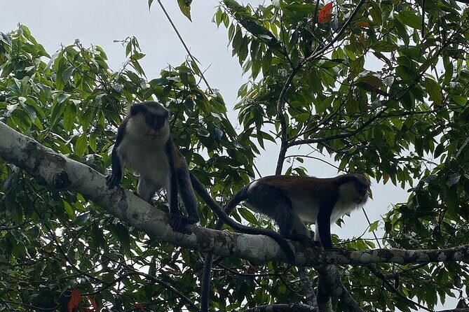 Half-Day Concord Waterfall and Chocolate Factory Tour - Final Thoughts