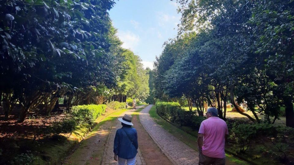 Half-Day Country Market Tour on Madeira Island - Exploring Quinta Do Santo Da Serra