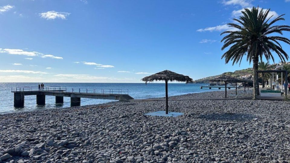 Half-Day Country Market Tour on Madeira Island - Breathtaking Ocean Views