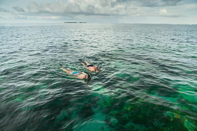 Half-Day Cruise From Key West With Kayaking and Snorkeling - Frequently Asked Questions