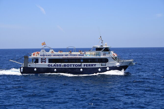 Half-Day Cruise Tour-Dolphin and Whale Watching - Nearby Attractions