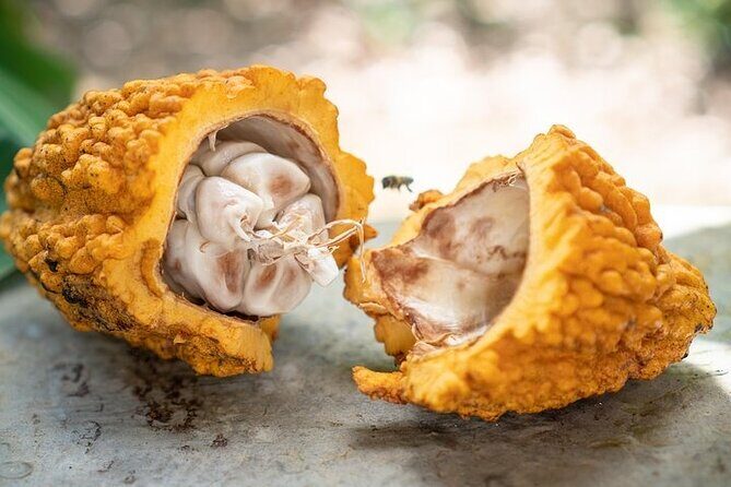 Half-Day Cultural Experience: History, Flavors & Local Artisans - Making Mamajuana and Local Crafts