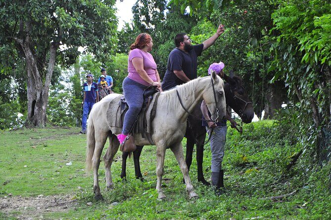 Half-Day Cultural Safari - Final Thoughts